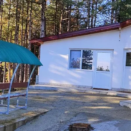 мони-зона релакс