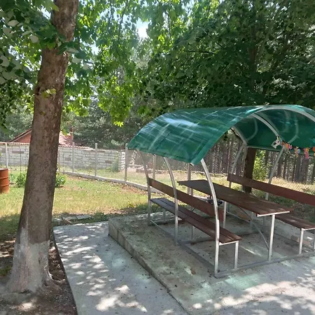 мони-зона релакс *