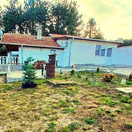 мони-зона релакс *