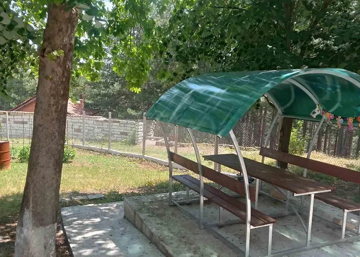 мони-зона релакс *