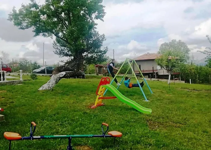 мони-зона релакс *