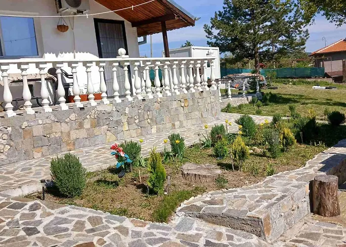 мони-зона релакс *